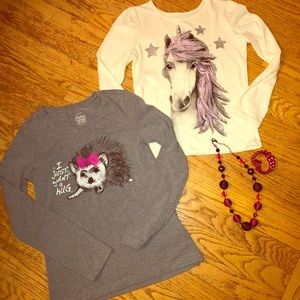 2 long sleeved shirts for a little girl.